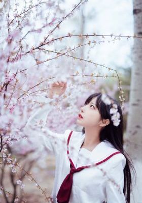 花琉璃轶闻